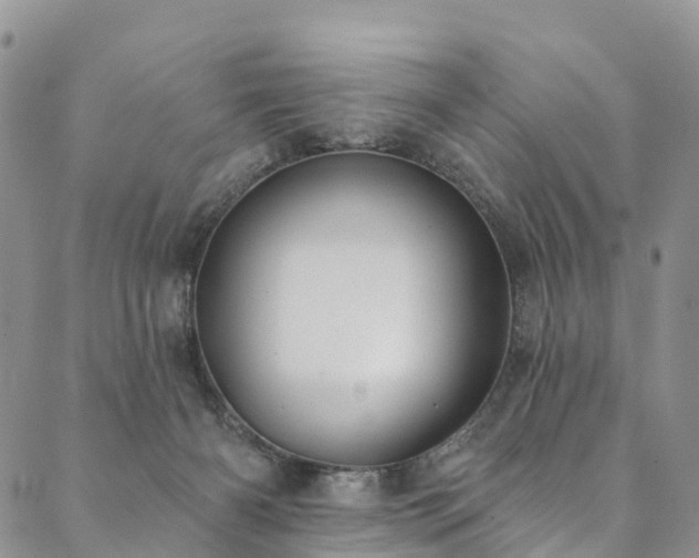 X0000090460126200707131303
