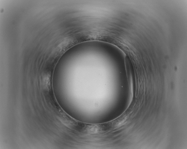X0000090460127200707131303