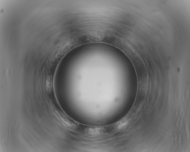 X0000090460134200707131303