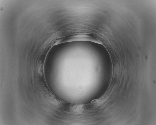 X0000090460138200707131303