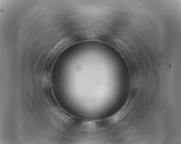 X0000090460140200707131303