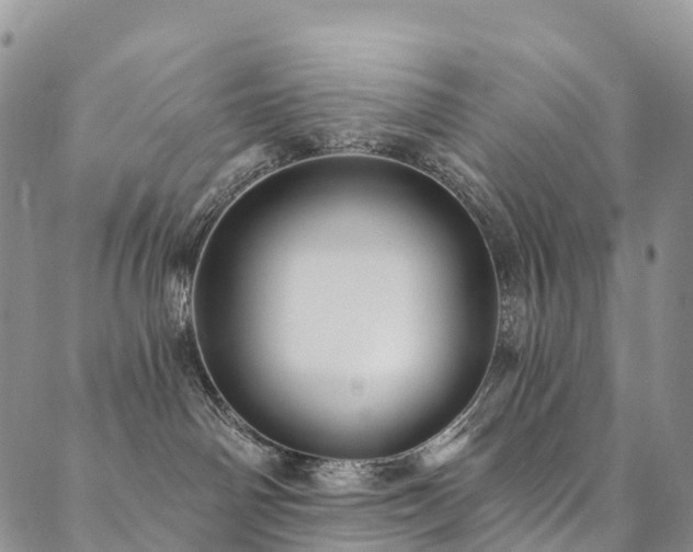 X0000090460142200707131303