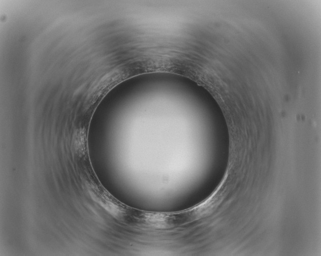 X0000090460144200707131303