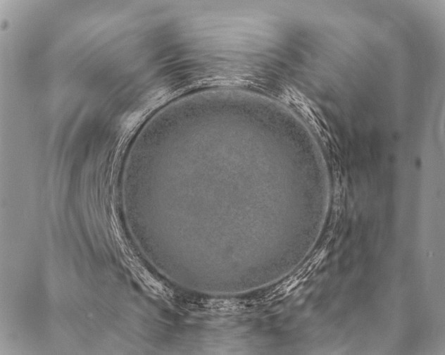 X0000090460145200707131302