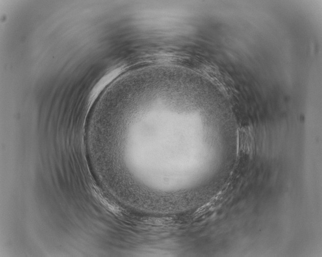 X0000090460147200707131302