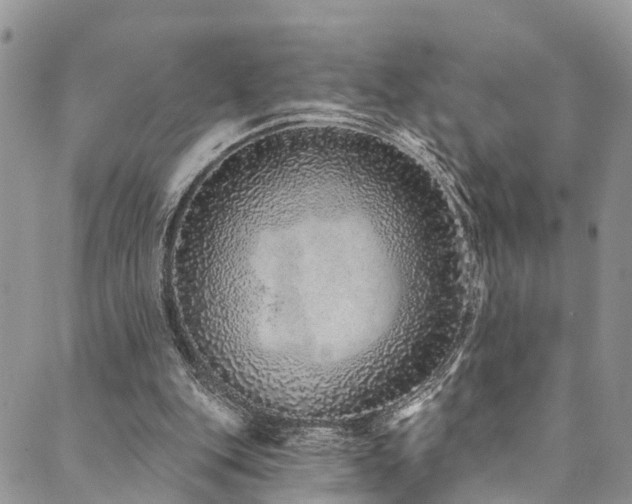 X0000090460151200707131302