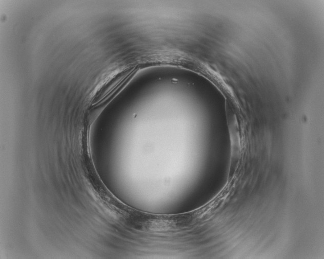 X0000090460154200707131302