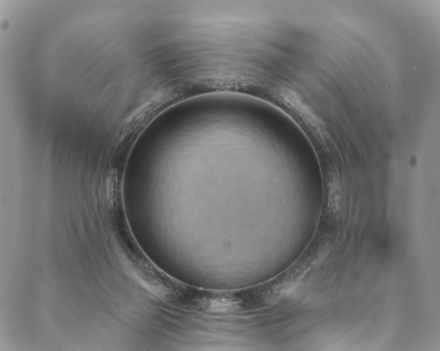 X0000090460165200707131302
