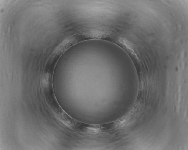 X0000090460167200707131302