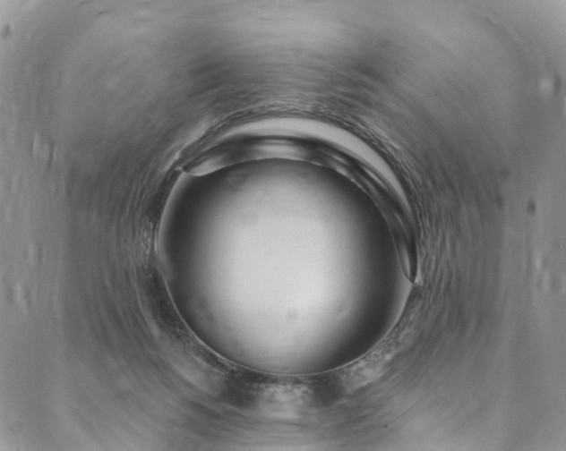 X0000090460168200707131302