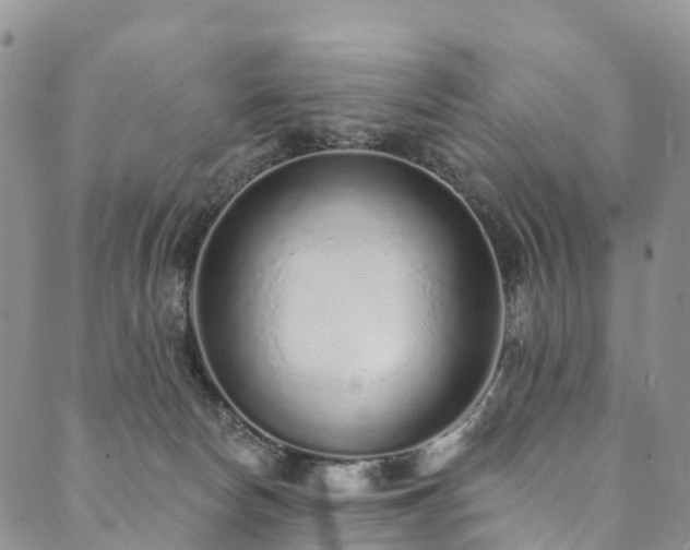 X0000090460178200707131302
