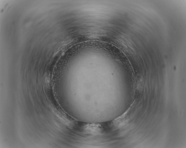 X0000090460179200707131302