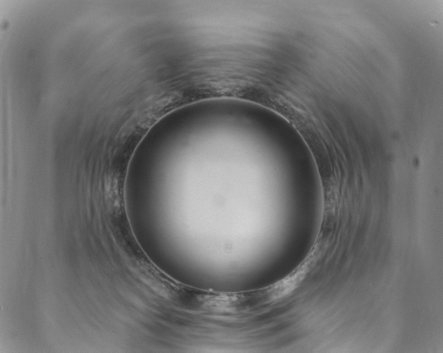 X0000090460182200707131302