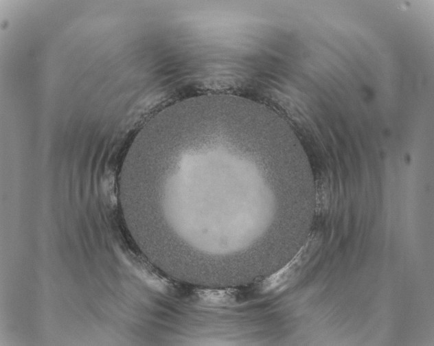 X0000090460187200707131302