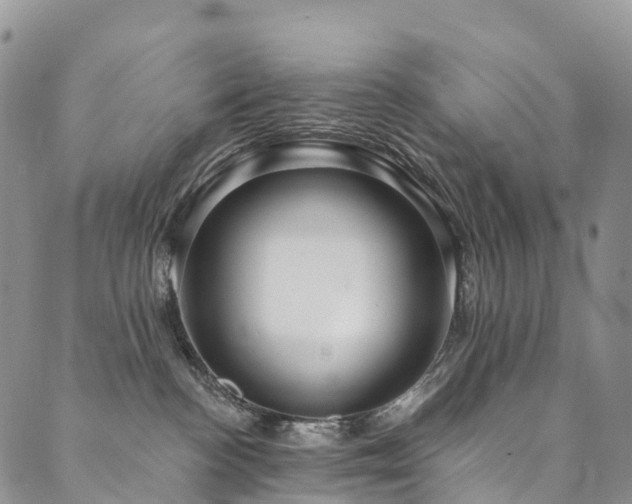 X0000090460188200707131303