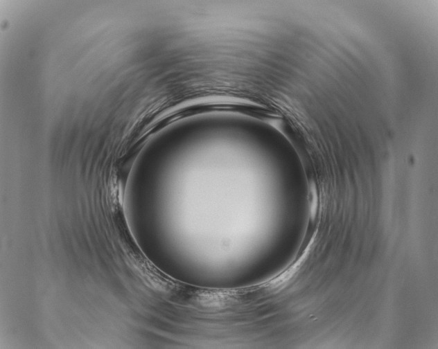 X0000090460190200707131303