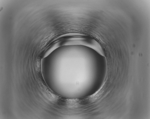 X0000090460192200707131303