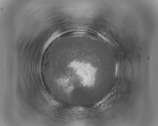X0000090460195200707131302