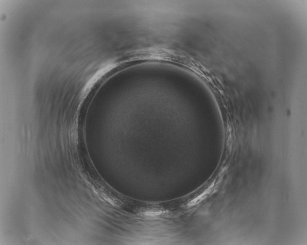 X0000090460200200707131302