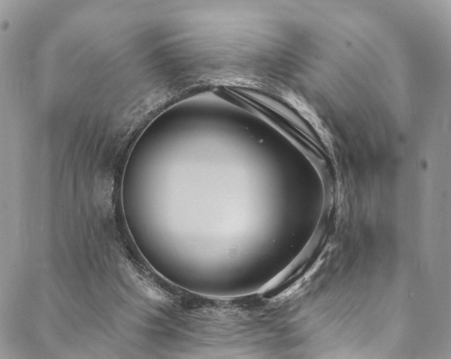 X0000090460201200707131302
