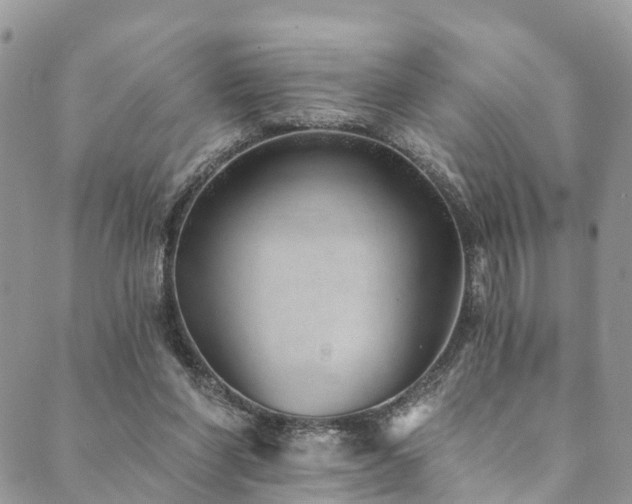 X0000090460206200707131302