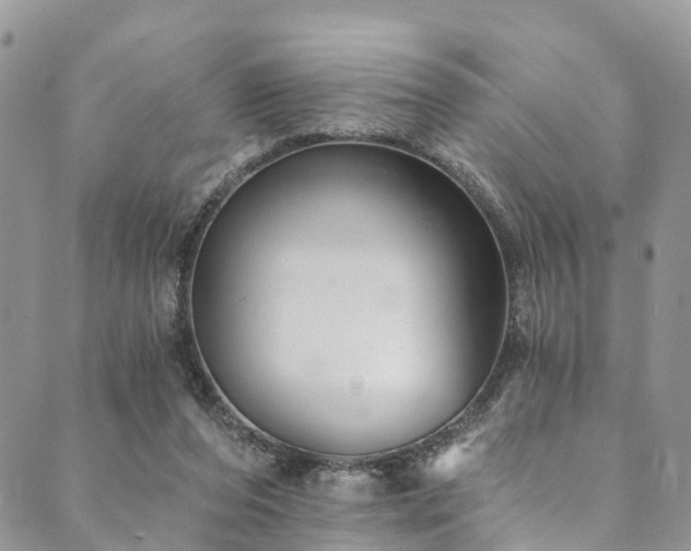 X0000090460208200707131302