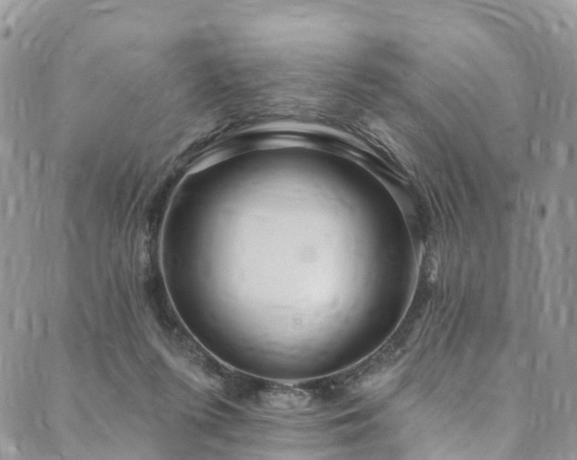 X0000090460215200707131301