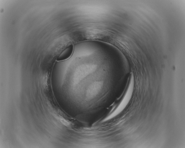 X0000090460219200707131301