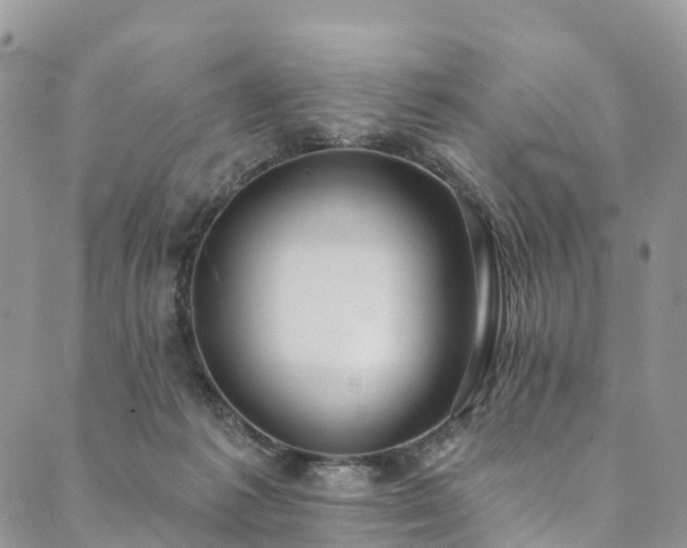 X0000090460221200707131301