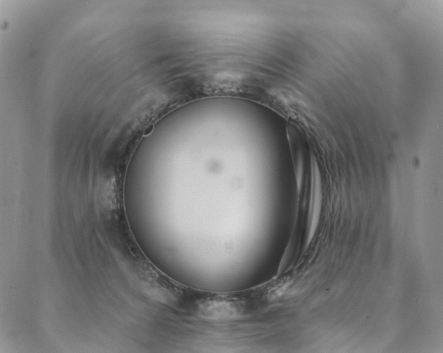 X0000090460224200707131301
