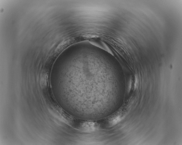 X0000090460227200707131301