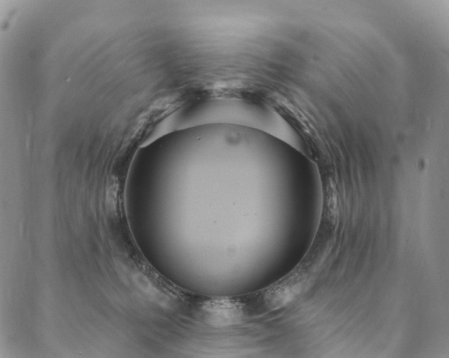 X0000090460231200707131301