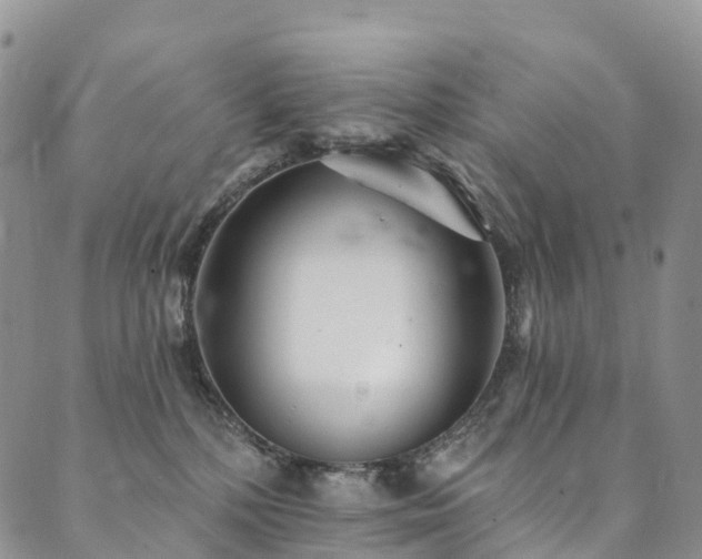 X0000090460232200707131301