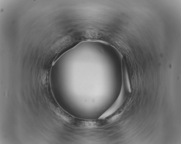 X0000090460233200707131301