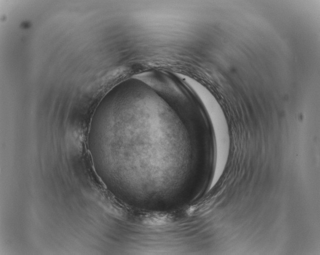 X0000090460235200707131301