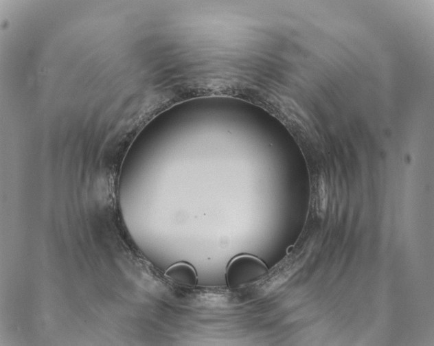 X0000090460236200707131301