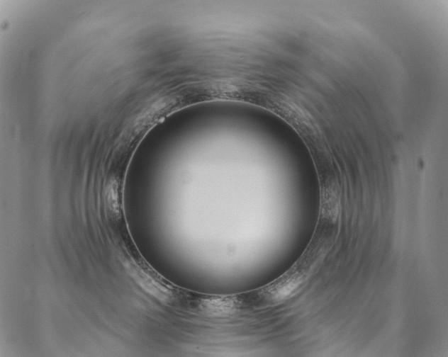 X0000090460238200707131301