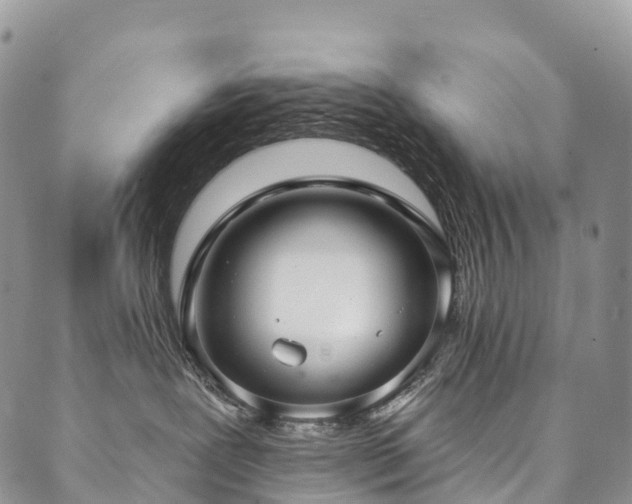 X0000090460239200707131301