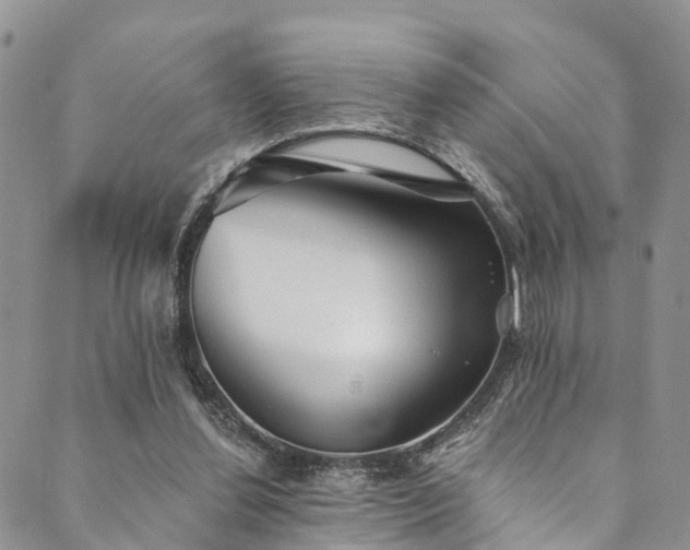 X0000090460252200707131300