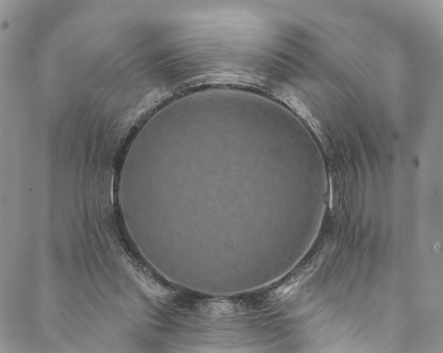 X0000090460253200707131300