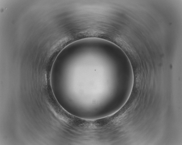 X0000090460254200707131300