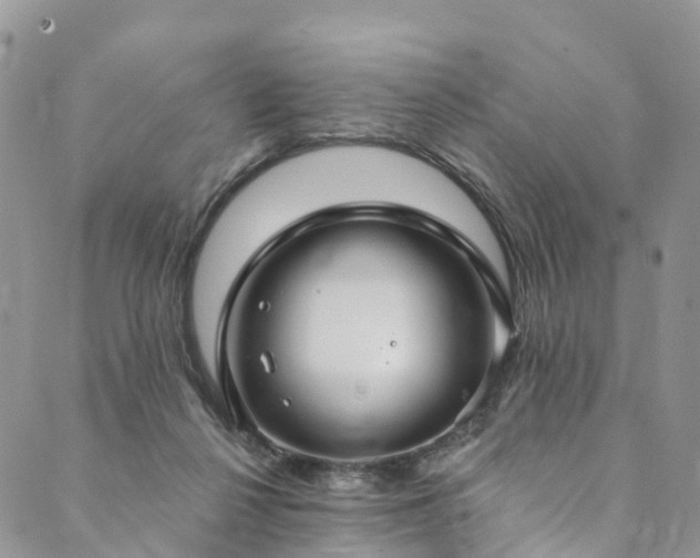 X0000090460264200707131301