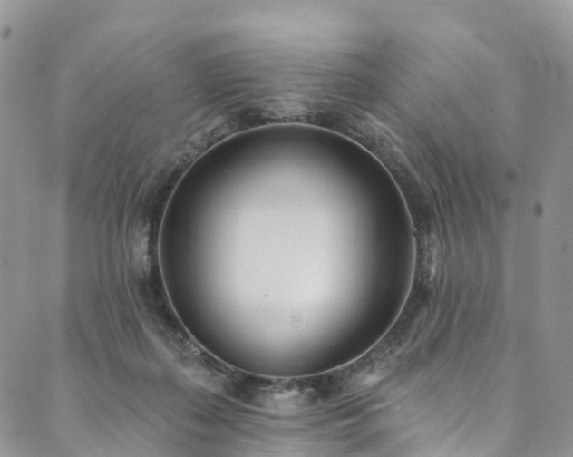 X0000090460267200707131301
