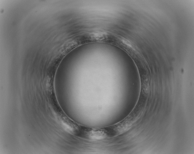 X0000090460270200707131301