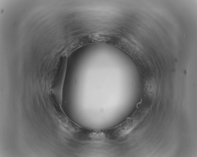 X0000090460271200707131301