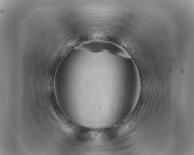 X0000090460272200707131301