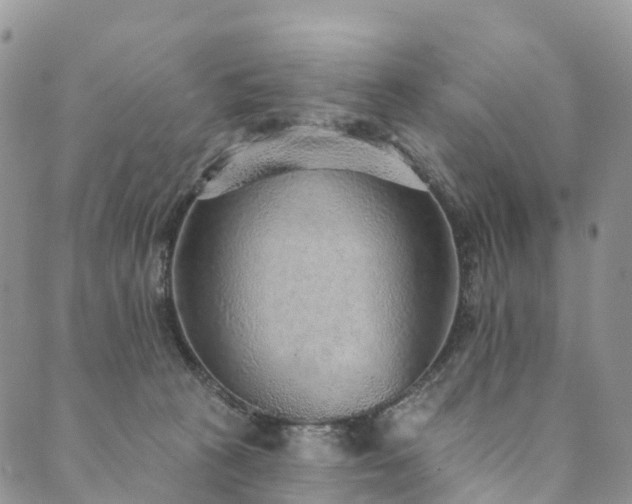 X0000090460273200707131301