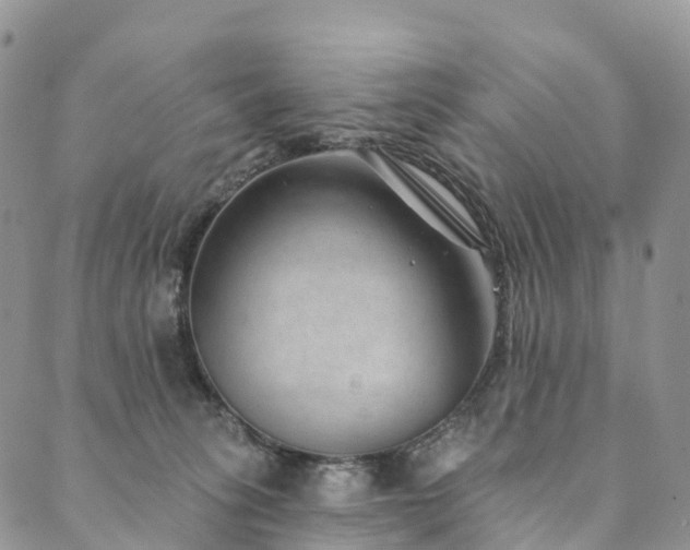X0000090460275200707131301