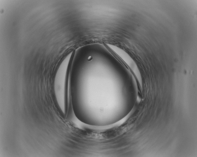 X0000090460276200707131301
