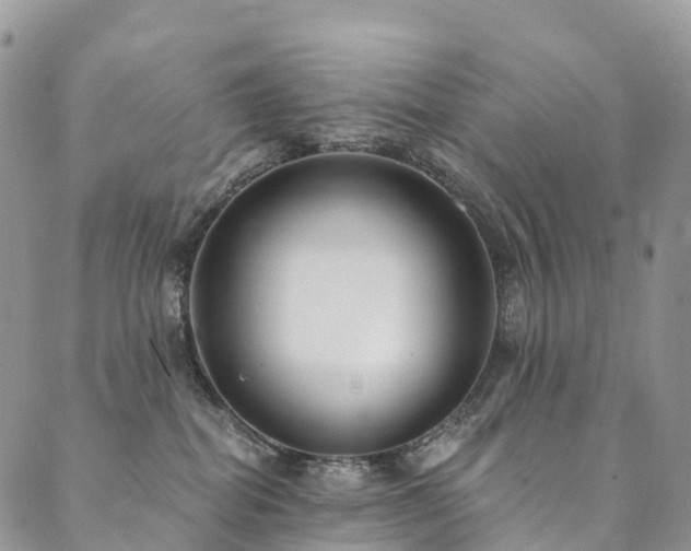 X0000090460282200707131301